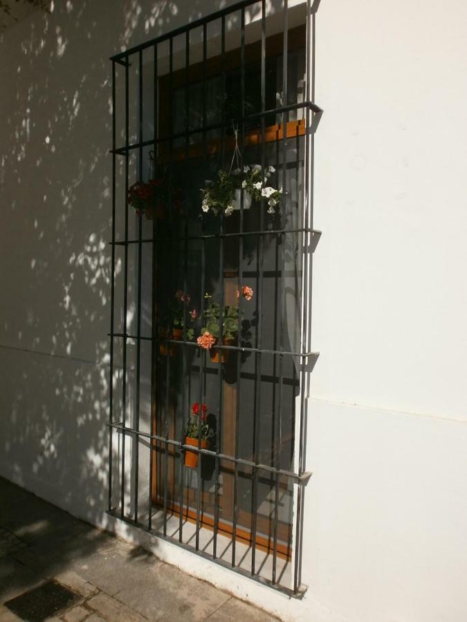 Casa En Plaza De La Merced_Centro Flamenco_Cádiz Eksteriør billede
